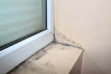 Mold removal by Disaster Recovery Experts, LLC