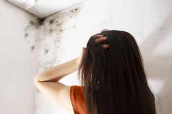 Attic Mold Removal in Sebastian, Florida by Disaster Recovery Experts, LLC